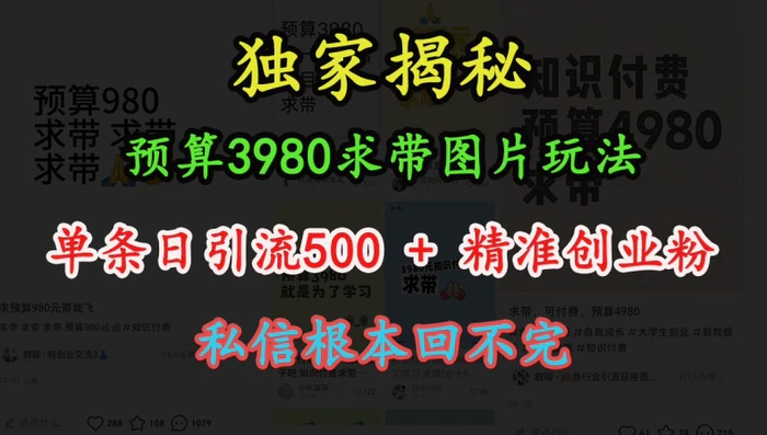 预算3980求带 图片玩法，单条日引流500+精准创业粉，私信根本回不完-副业心选