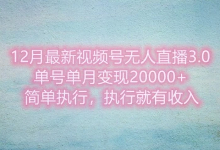 12月最新视频号无人直播3.0，单号单月变现过w，简单执行，执行就有收入 - 副业心选-副业心选