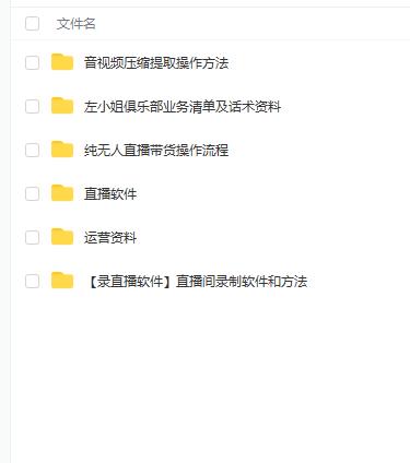 左小姐-直播带货俱乐部十三行、无人直播，全套教程附：工具、文档、话术资料-副业心选