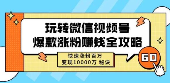 玩转微信视频号爆款涨粉赚钱全攻略，快速涨粉百万变现万元秘诀-副业心选