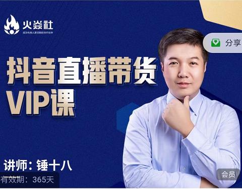 锤十八-抖音直播带货VIP课，专注直播带货有效盈利模式-副业心选