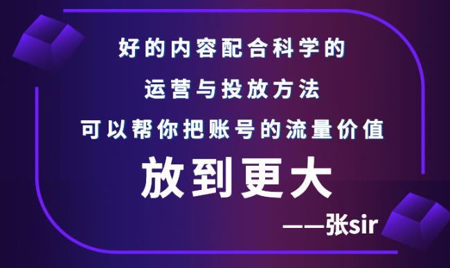 张sir账号流量增长课，告别海王流量，让你的流量更精准-副业心选