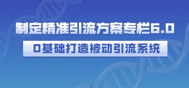 制定精准引流方案专栏6.0，0基础打造被动引流系统-副业心选