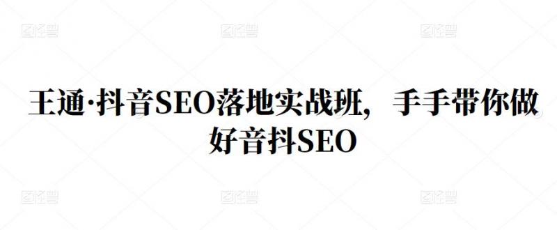 王通·抖音SEO落地实战班，手‬手带你做好音抖‬‬SEO-副业心选
