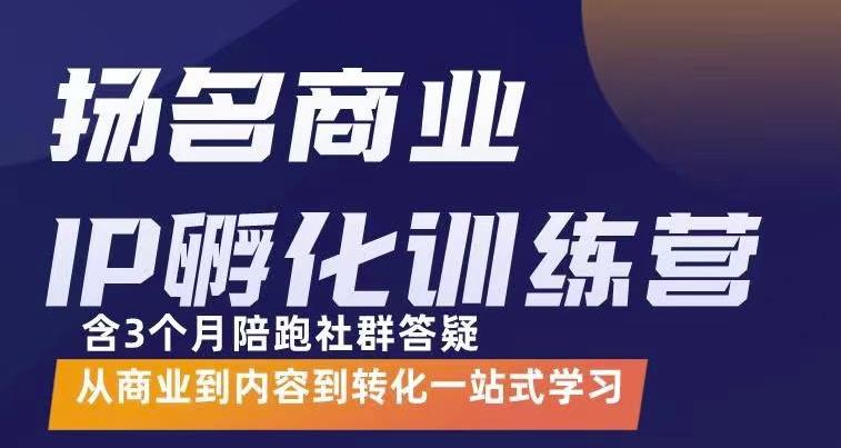 杨名商业IP孵化训练营,从商业到内容到转化一站式学 价值5980元-副业心选