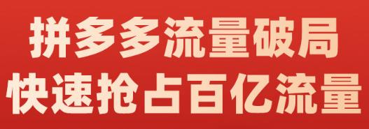 阿杰·拼多多流量破局:如何打黑标，爆款的思路，拼多多流量框架，快速抢占百亿流量 - 副业心选-副业心选