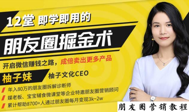 【营销必学】12堂学之即用的朋友圈掘金术：开启你的副业赚钱之路-副业心选