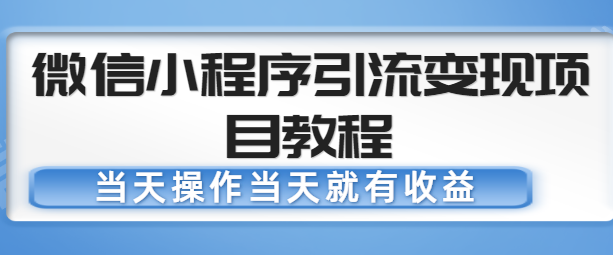 微信小程序引流变现项目教程，当天操作当天就有收益，变现不再是难事-副业心选