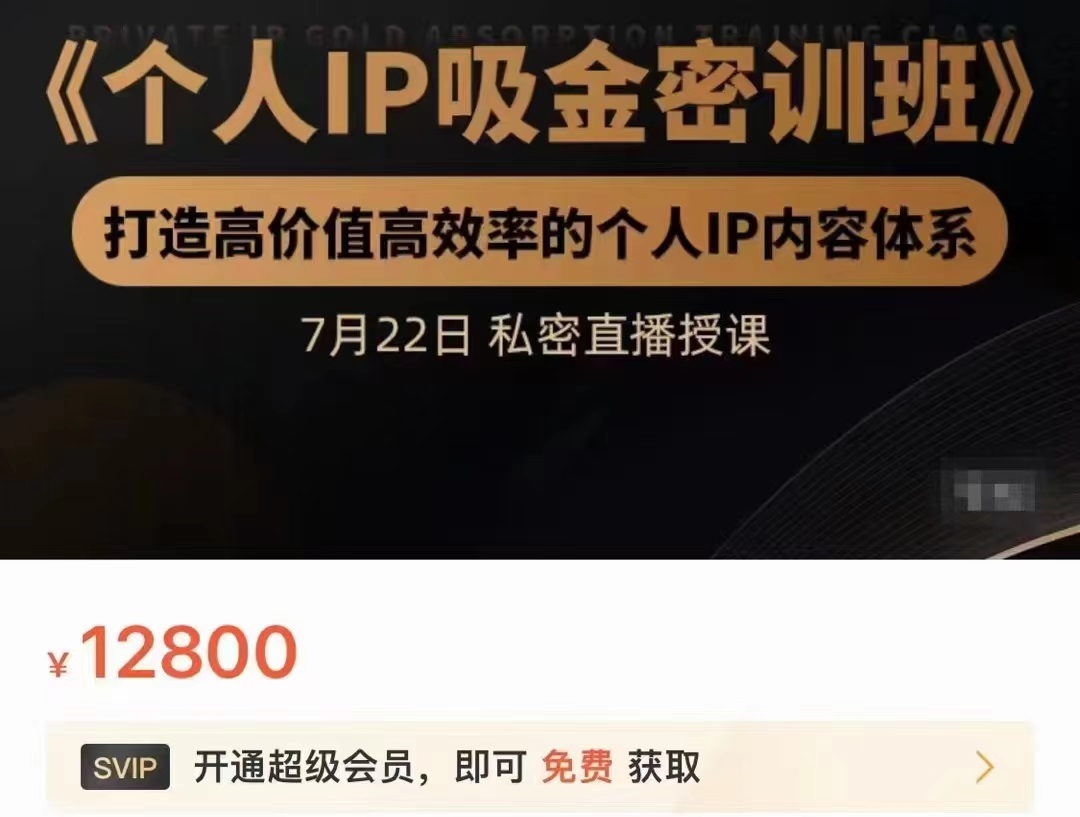 个人IP吸金密训班，打造高价值高效率的个人IP内容体系（价值12800元） - 副业心选-副业心选