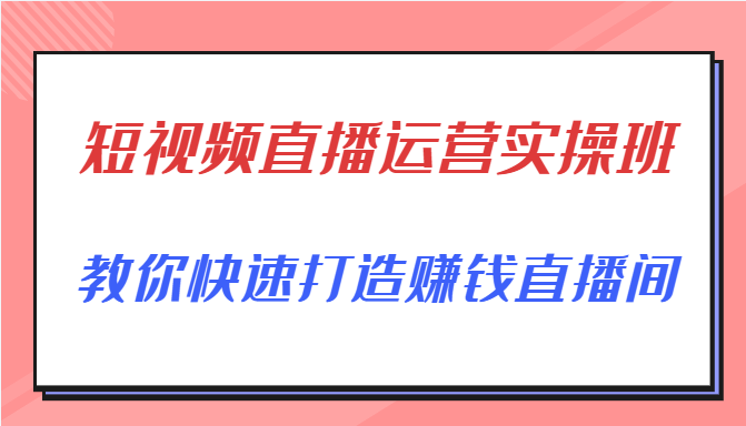 短视频直播运营实操班，直播带货精细化运营实操，教你快速打造赚钱直播间-副业心选
