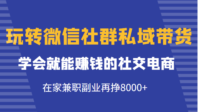 玩转微信社群私域带货，学会就能赚钱的社交电商，在家兼职副业再挣8000+ - 副业心选-副业心选