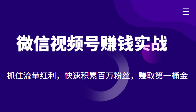 微信视频号赚钱实战：抓住流量红利，快速积累百万粉丝，赚取你的第一桶金-副业心选