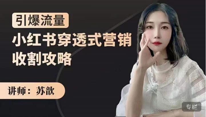 苏歆：小红书穿透式营销收割攻略，引爆流量，助你玩转小红书-副业心选