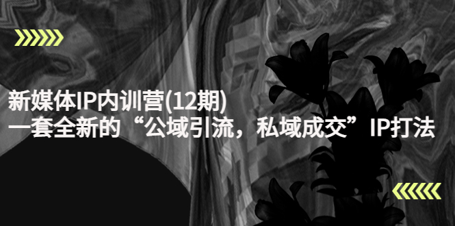 新媒体IP内训营(12期)，一套全新的“公域引流，私域成交”IP打法，直接带走-副业心选