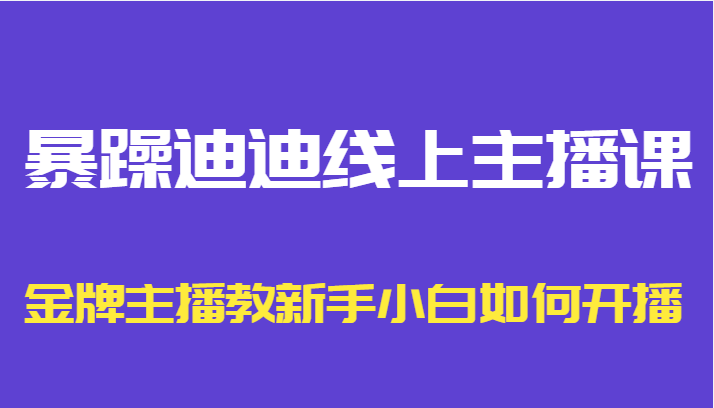 暴躁迪迪线上主播课，金牌主播教新手小白如何开播-副业心选