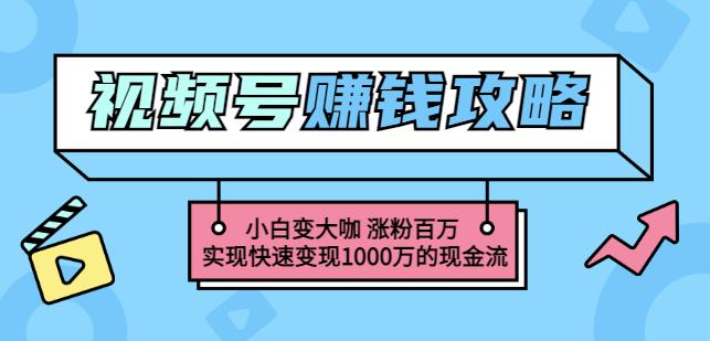 玩转微信视频号赚钱：小白变大咖涨粉百万实现快速变现1000万的现金流-副业心选