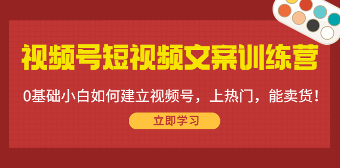 视频号短视频文案训练营：0基础小白如何建立视频号，上热门，能卖货！ - 副业心选-副业心选