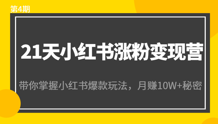 21天小红书涨粉变现营（第4期）：带你掌握小红书爆款玩法，月赚10W+秘密 - 副业心选-副业心选