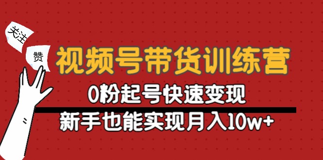 视频号带货训练营：0粉起号快速变现，新手也能实现月入10w+ - 副业心选-副业心选