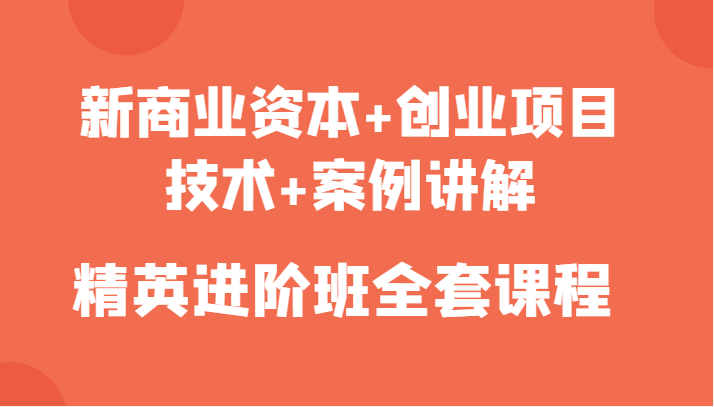 新商业资本+创业项目，技术+案例讲解，精英进阶班全套课程 - 副业心选-副业心选