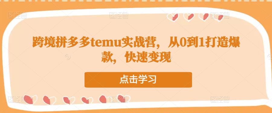 跨境拼多多temu实战营，从0到1打造爆款，快速变现 - 副业心选-副业心选