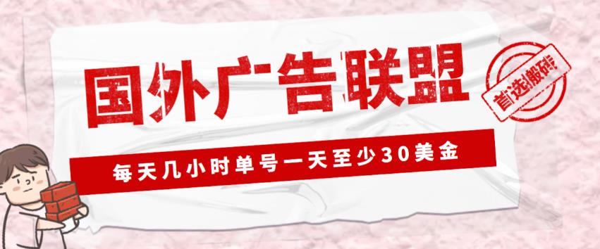 外面收费1980的最新国外LEAD广告联盟搬砖项目，单号一天至少30美金【详细玩法教程】-副业心选