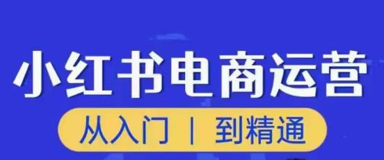 顽石小红书电商高阶运营课程，从入门到精通，玩法流程持续更新-副业心选