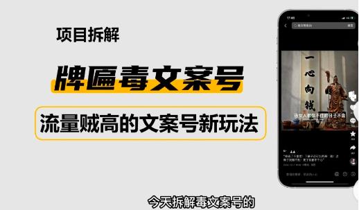 2023抖音快手毒文案新玩法，牌匾文案号，起号快易变现-副业心选