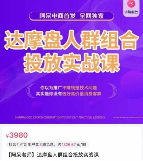 阿呆电商·达摩盘人群组合投放实战课，你以为推广不赚钱是技术问题，其实是你没有选好高价值消费客群 - 副业心选-副业心选