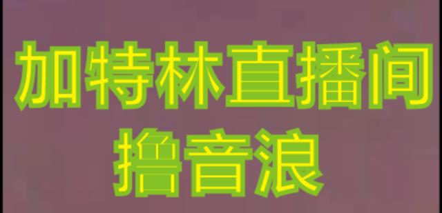 抖音加特林直播间搭建技术，抖音0粉开播，暴力撸音浪，2023新口子，每天800+【素材+详细教程】-副业心选