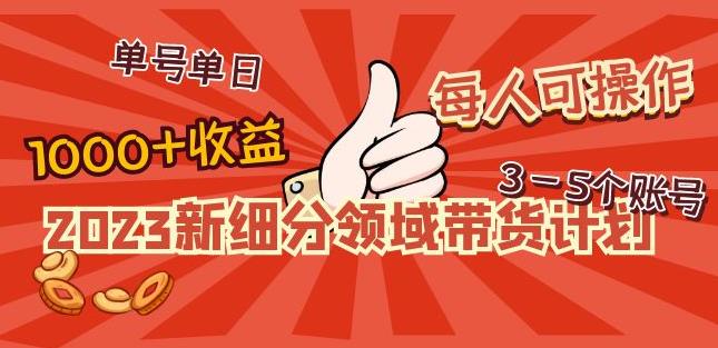 2023新细分领域带货计划：单号单日1000+收益不难，每人可操作3-5个账号-副业心选