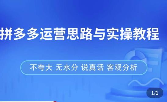 拼多多店铺运营思路与实操教程，快速学会拼多多开店和运营，少踩坑，多盈利 - 副业心选-副业心选
