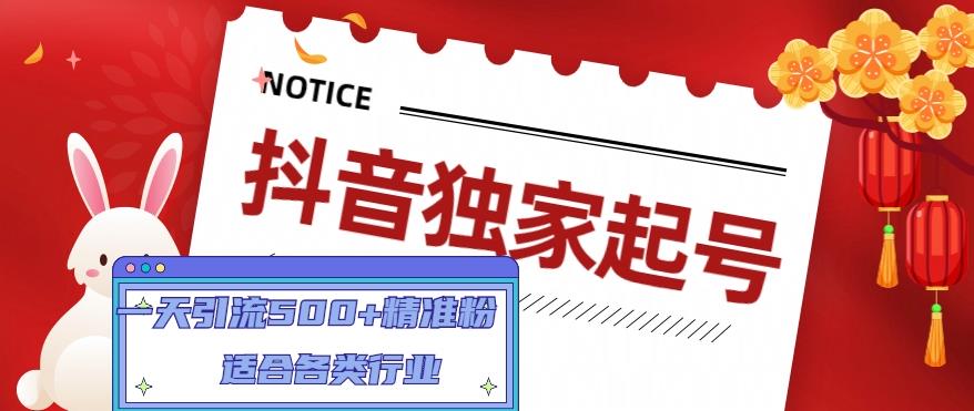 抖音独家起号，一天引流500+精准粉，适合各类行业（9节视频课）-副业心选