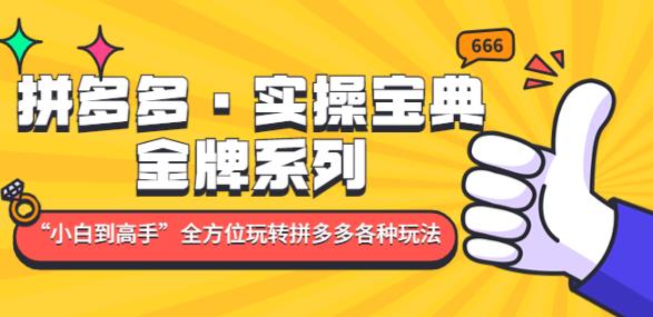拼多多·实操宝典：金牌系列“小白到高手”带你全方位玩转拼多多各种玩法 - 副业心选-副业心选