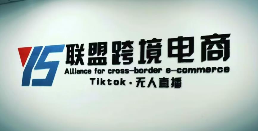 YS联盟·Tiktok无人直播，不出镜不剪辑不拍摄不发货无售后的跨境短视频躺赚玩法 - 副业心选-副业心选