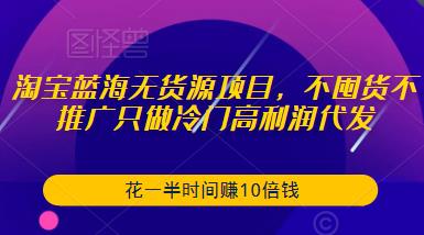 淘宝蓝海无货源项目，不囤货不推广只做冷门高利润代发，花一半时间赚10倍钱 - 副业心选-副业心选