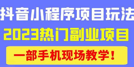 抖音小程序9.0新技巧，2023热门副业项目，动动手指轻松变现 - 副业心选-副业心选