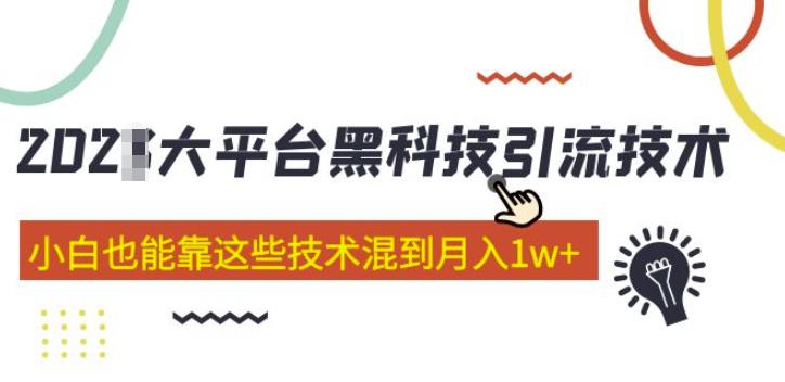 大平台黑科技引流技术，小白也能靠这些技术混到月入1w+(2022年的课程）-副业心选