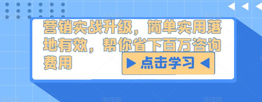 营销实战升级，简单实用落地有效，帮你省下百万咨询费用 - 副业心选-副业心选
