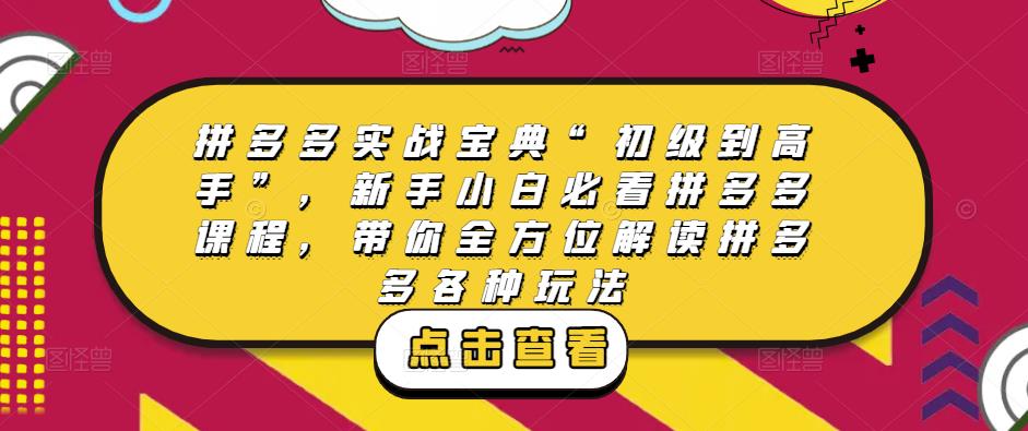 拼多多实战宝典“初级到高手”，新手小白必看拼多多课程，带你全方位解读拼多多各种玩法-副业心选