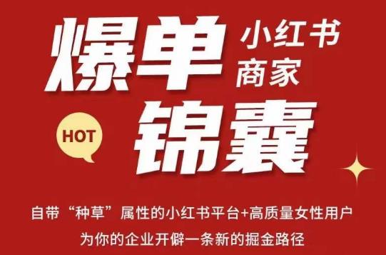 无畏·小红书商家爆单锦囊，掌握小红书各大规则，快速精准抢占行业和市场 - 副业心选-副业心选