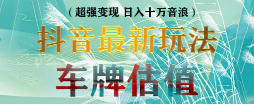 抖音最新无人直播变现直播车牌估值玩法项目，轻松日赚几百+【详细玩法教程】-副业心选