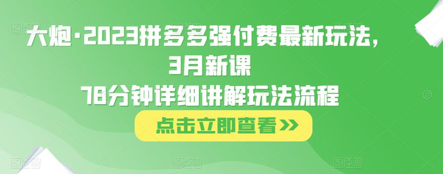 大炮·2023拼多多强付费最新玩法，3月新课​78分钟详细讲解玩法流程 - 副业心选-副业心选