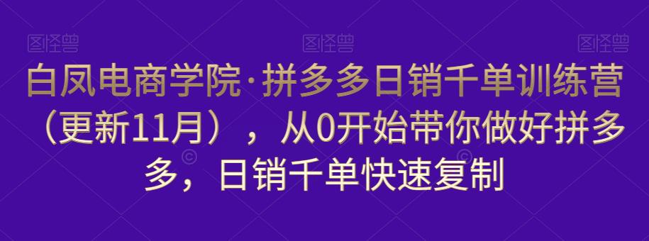 白凤电商学院·拼多多日销千单训练营，从0开始带你做好拼多多，日销千单快速复制（更新知2023年3月） - 副业心选-副业心选