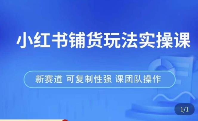 小红书铺货玩法实操课，流量大，竞争小，非常好做，新赛道，可复制性强，可团队操作 - 副业心选-副业心选