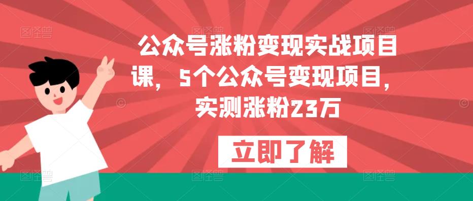 公众号涨粉变现实战项目课，5个公众号变现项目，实测涨粉23万 - 副业心选-副业心选