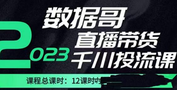 数据哥2023直播电商巨量千川付费投流实操课，快速掌握直播带货运营投放策略 - 副业心选-副业心选