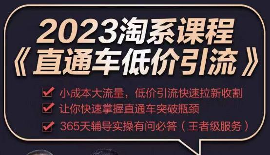 2023直通车低价引流玩法课程，小成本大流量，低价引流快速拉新收割，让你快速掌握直通车突破瓶颈-副业心选