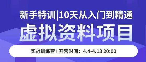 虚拟资料项目新手特训，10天从入门到精通，保姆级实操教学 - 副业心选-副业心选