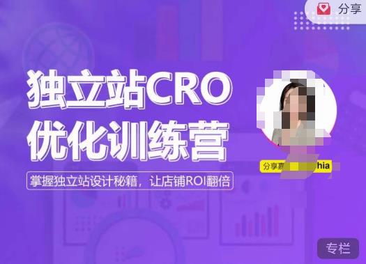 独立站CRO优化训练营，掌握独立站设计秘籍，打造高转化的独立站，让店铺ROI翻倍-副业心选